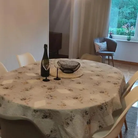 度假居 Family House Maria 4* 里耶卡
